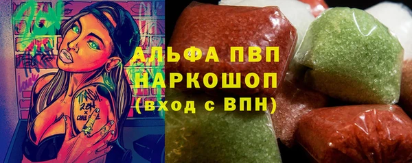 молекула духа Каменка
