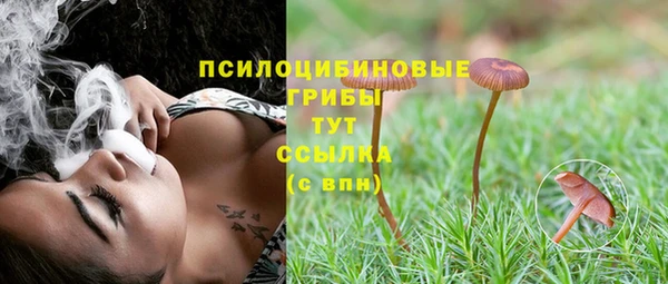 mix Алексин