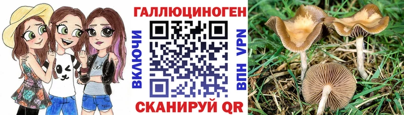 где продают наркотики  Североуральск  Галлюциногенные грибы GOLDEN TEACHER 
