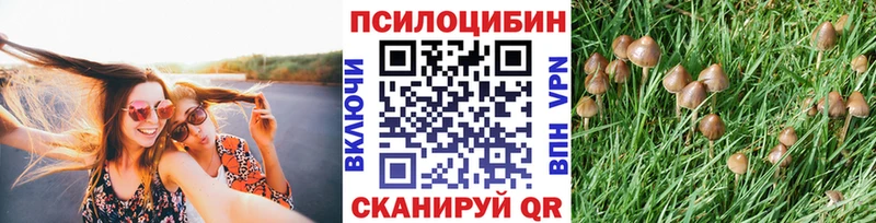 Галлюциногенные грибы Cubensis Североуральск
